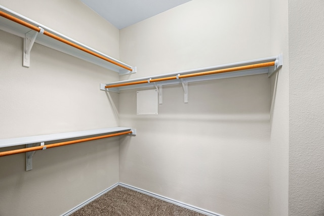 walk in closet featuring carpet