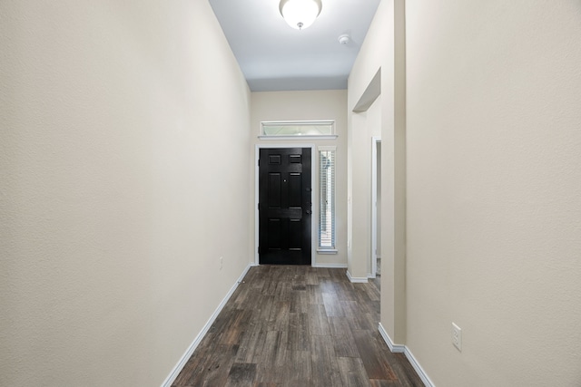 entryway with dark hardwood / wood-style flooring