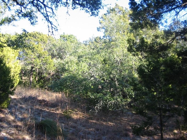9604 Sisk Ln, Dripping Springs, TX 78620