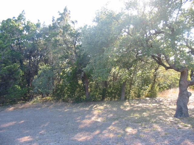 9604 Sisk Ln, Dripping Springs TX, 78620 land for sale