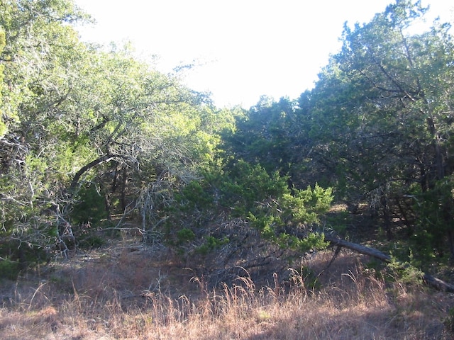 Listing photo 3 for 9604 Sisk Ln, Dripping Springs TX 78620