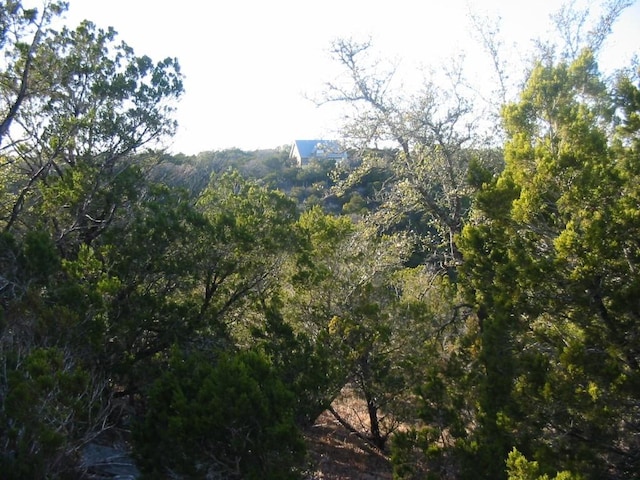 9604 Sisk Ln, Dripping Springs, TX 78620