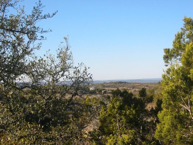 9604 Sisk Ln, Dripping Springs, TX 78620