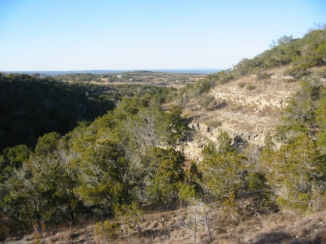 9604 Sisk Ln, Dripping Springs, TX 78620