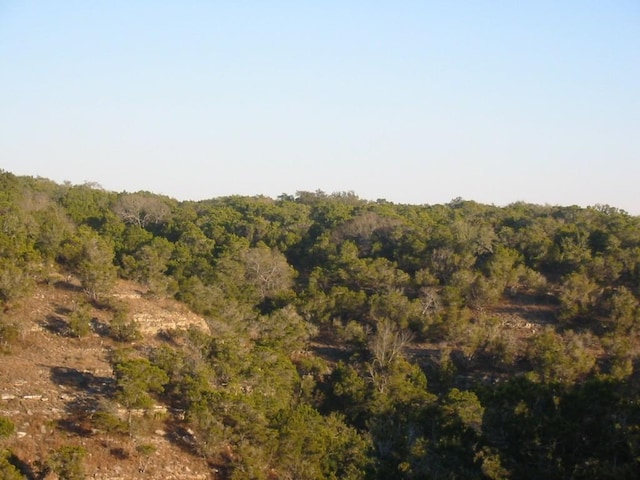 9604 Sisk Ln, Dripping Springs, TX 78620