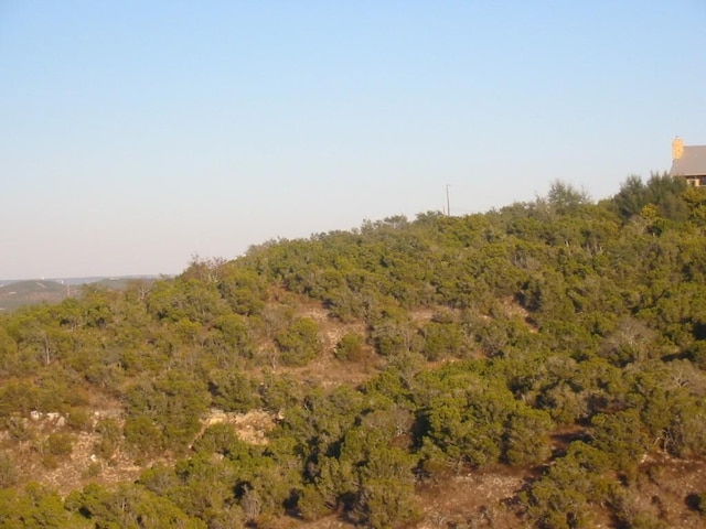 9604 Sisk Ln, Dripping Springs, TX 78620
