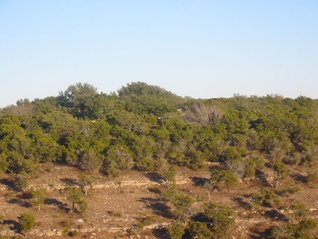 9604 Sisk Ln, Dripping Springs, TX 78620