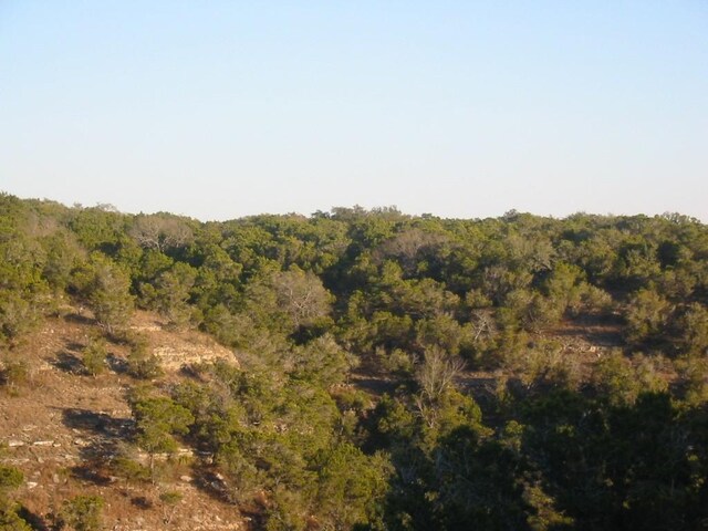 9604 Sisk Ln, Dripping Springs, TX 78620