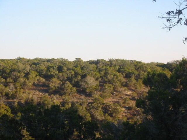 9604 Sisk Ln, Dripping Springs, TX 78620