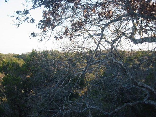 9604 Sisk Ln, Dripping Springs, TX 78620
