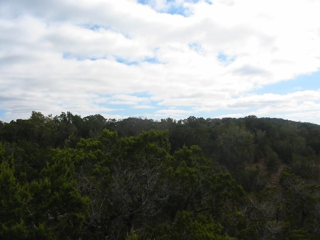 9604 Sisk Ln, Dripping Springs, TX 78620