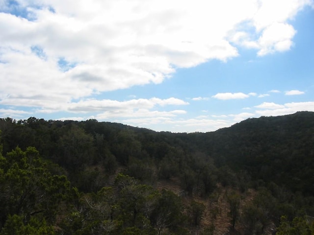 9604 Sisk Ln, Dripping Springs, TX 78620