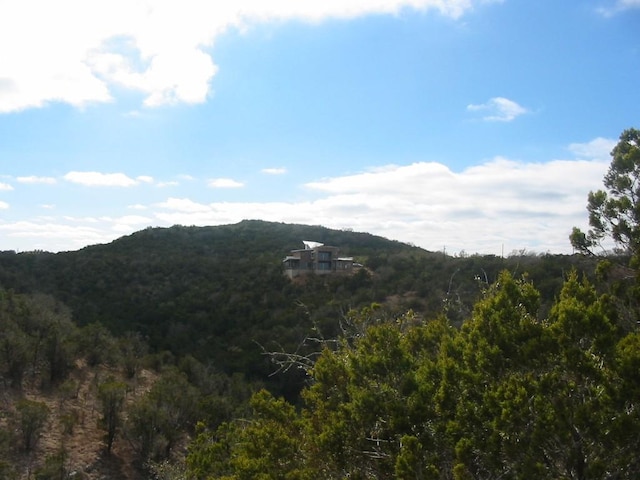 9604 Sisk Ln, Dripping Springs, TX 78620
