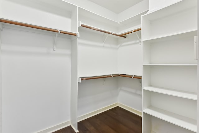 walk in closet with dark hardwood / wood-style floors