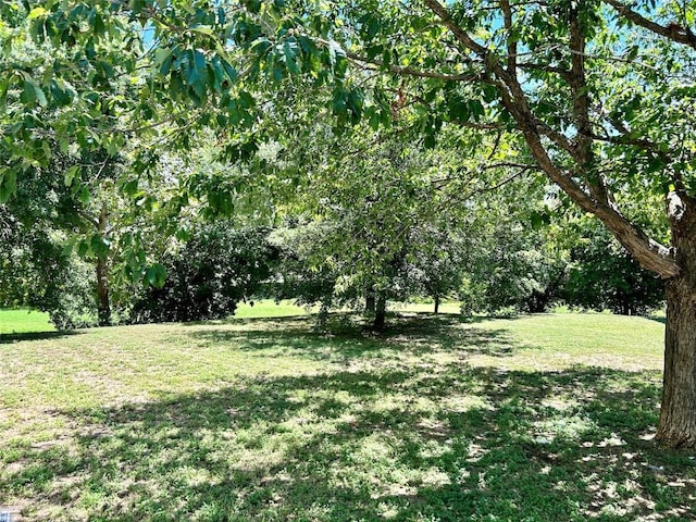 9507 Kempler Dr, Austin, TX 78748 - view of green lawn
