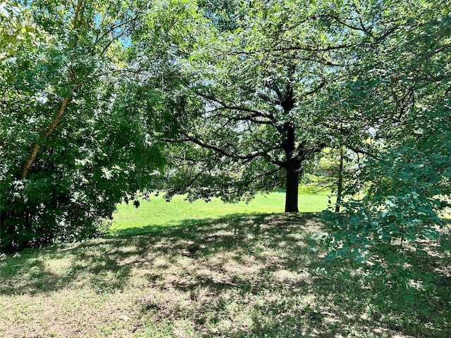 9507 Kempler Dr, Austin, TX 78748 - view of nature