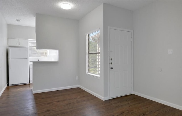 foyer featuring a textured ceiling, dark hardwood / wood-style flooring, and a wealth of natural light