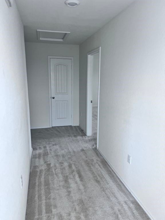 unfurnished room featuring light carpet