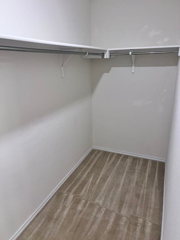 walk in closet featuring carpet flooring