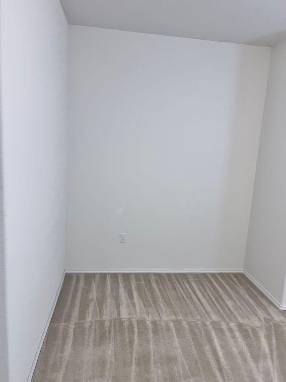 spare room featuring light carpet