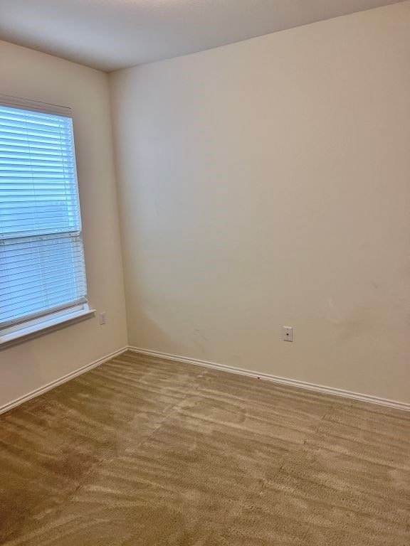 empty room with carpet flooring