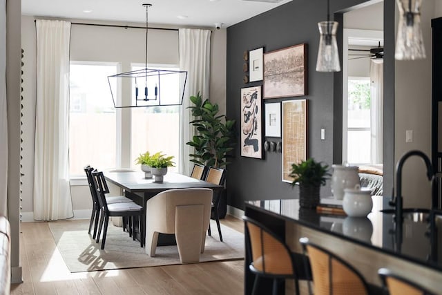 dining room featuring ceiling fan with notable chandelier, light hardwood / wood-style floors, and sink