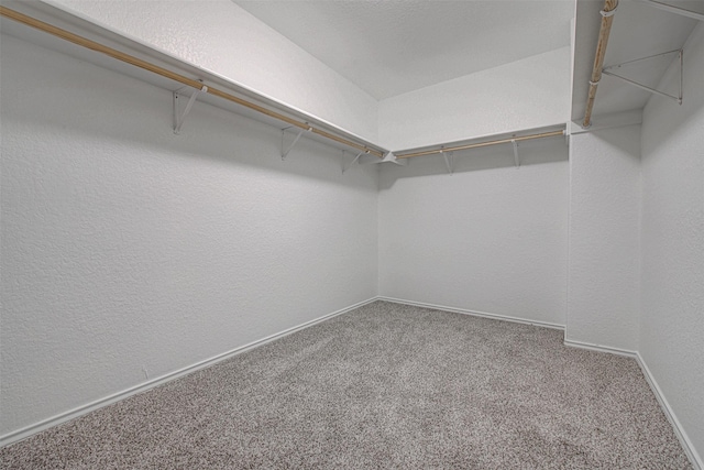 spacious closet featuring carpet