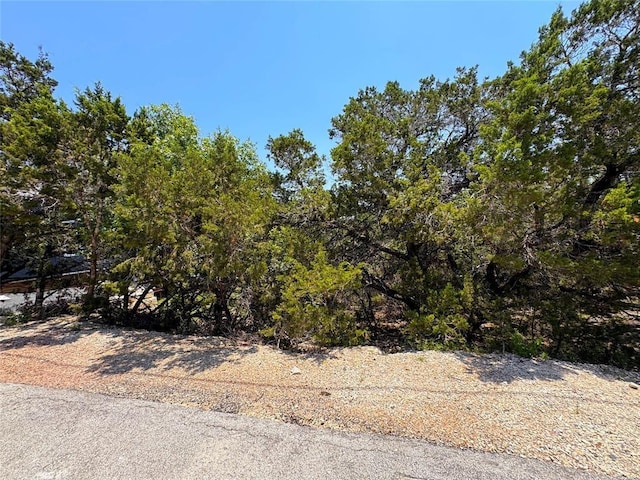 557 Dusty Saddle, Canyon Lake TX, 78133 land for sale