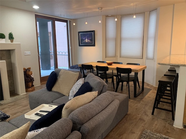 living room with hardwood / wood-style flooring and a wall of windows