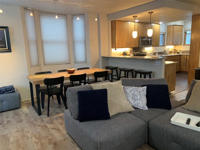 living room featuring light hardwood / wood-style floors and sink