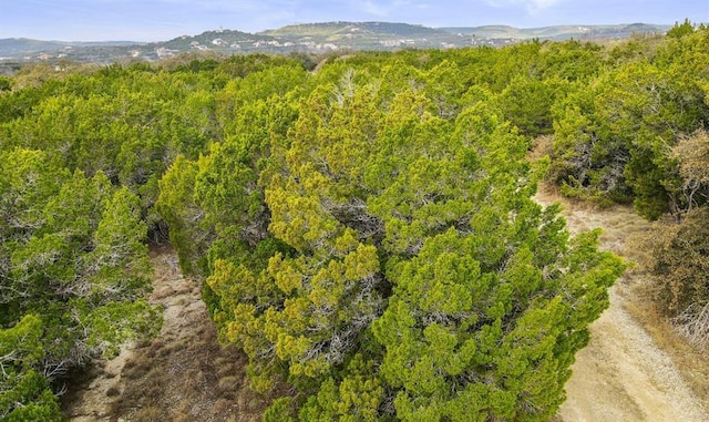 10033 Lime Creek Rd, Leander, TX 78641