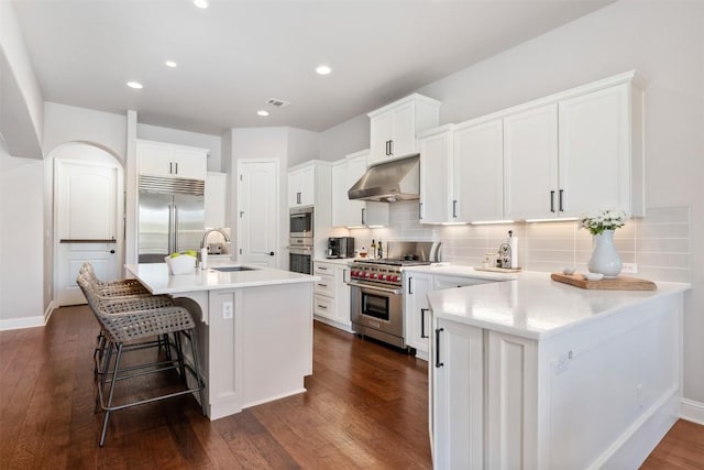 kitchen with tasteful backsplash, a sink, under cabinet range hood, and high quality appliances