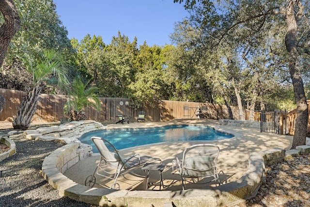 view of pool with a patio area