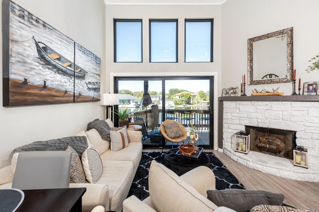 living room with a fireplace and hardwood / wood-style flooring