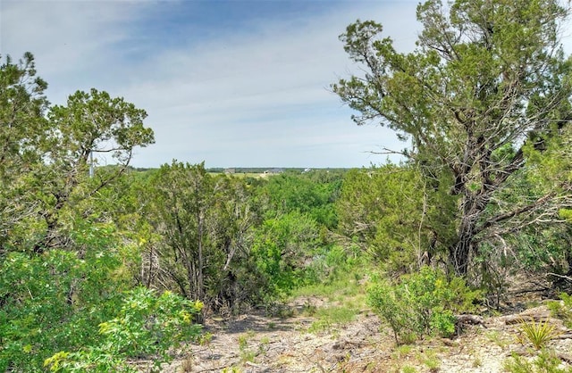 Listing photo 3 for LOT24 Rain Lily Ct, Burnet TX 78611