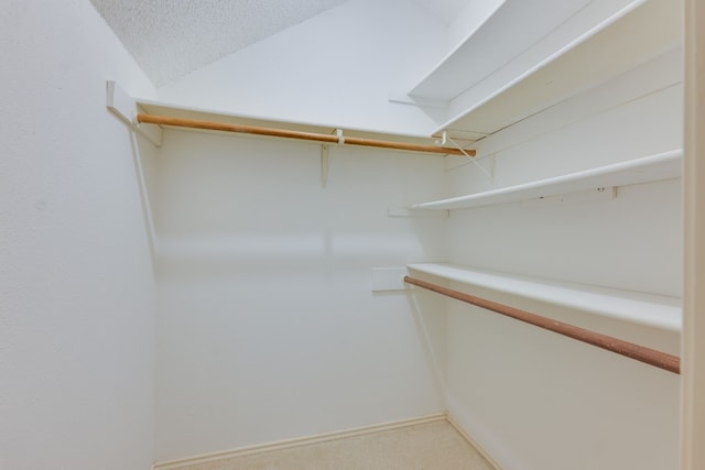 8233 Summer Side Dr Unit 172, Austin, TX 78759 - view of walk in closet