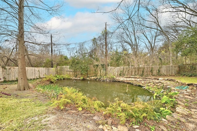 4204 Gregg Ward Ln, Austin, TX 78744 - view of yard