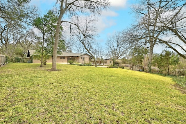 4204 Gregg Ward Ln, Austin, TX 78744 - view of yard