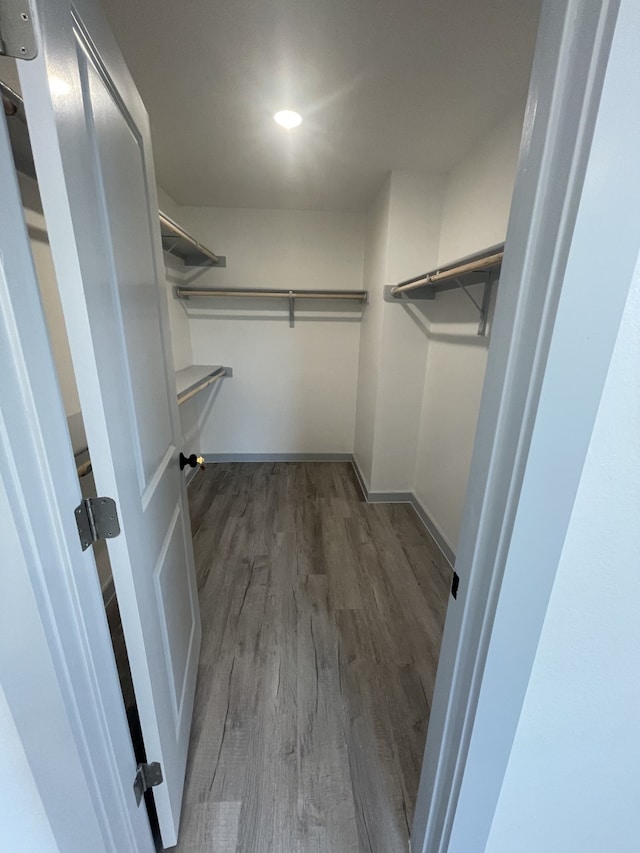 walk in closet featuring dark hardwood / wood-style floors