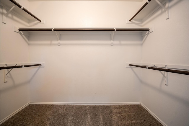 spacious closet with carpet flooring