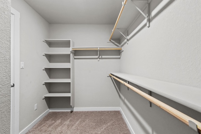 walk in closet with carpet floors