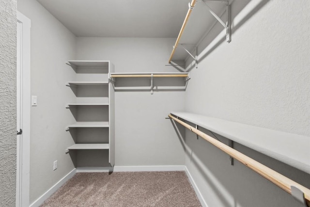 spacious closet with carpet floors