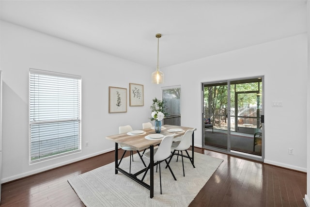 dining room featuring plenty of natural light and wood-type flooring