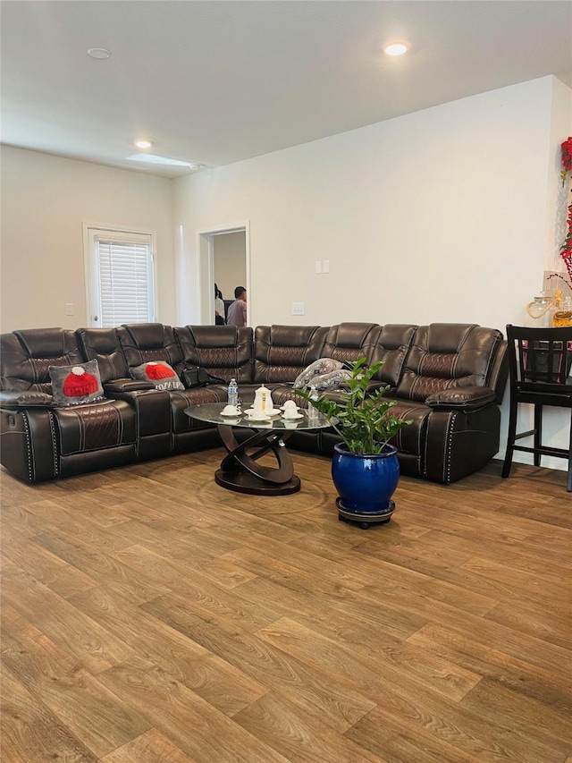 living room featuring light hardwood / wood-style flooring