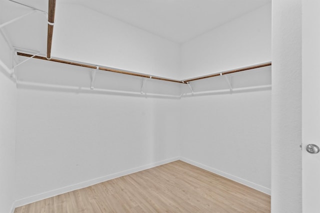 spacious closet featuring hardwood / wood-style flooring