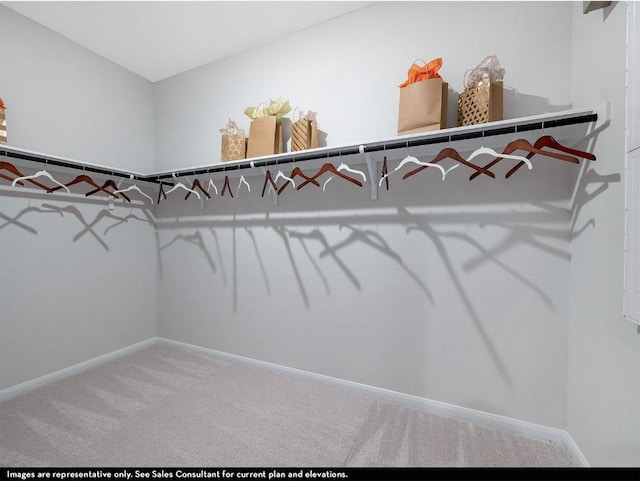 walk in closet with carpet floors