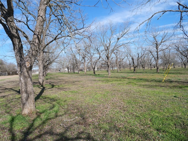 123 Lazy River Ln, Elgin, TX 78621 - photo 21