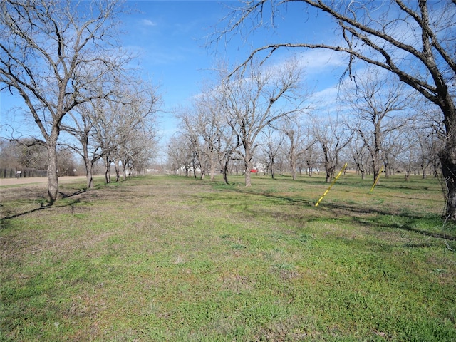 123 Lazy River Ln, Elgin, TX 78621 - photo 22