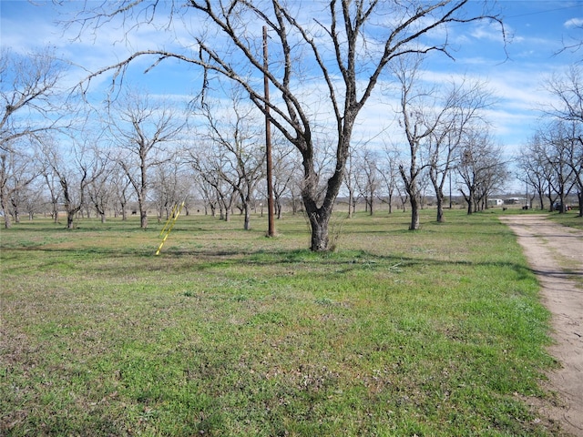 123 Lazy River Ln, Elgin, TX 78621 - photo 25