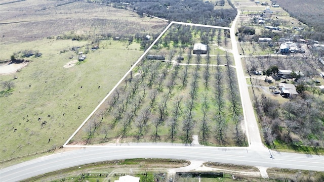 123 Lazy River Ln, Elgin, TX 78621 - photo 11